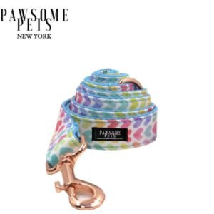 LEASH - RAINBOW - BLUE - GOLD