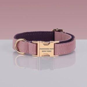 PAWSOME DOG COLLAR - #13