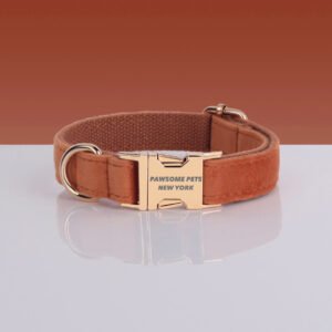 PAWSOME DOG COLLAR - #2
