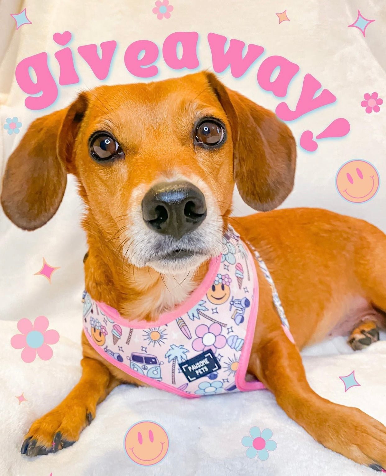 ADJUSTABLE HARNESS - SMILE EVERYDAY - Image 2