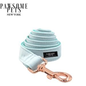LEASH - MINT GREEN