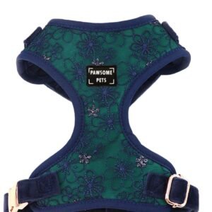 ADJUSTABLE HARNESS - AQUAMARINE