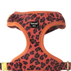 ADJUSTABLE HARNESS - ORANGE LEOPARD