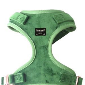 ADJUSTABLE HARNESS - CELESTE