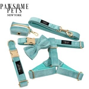 STEP IN BUNDLE - MINT GREEN (5 PIECES)