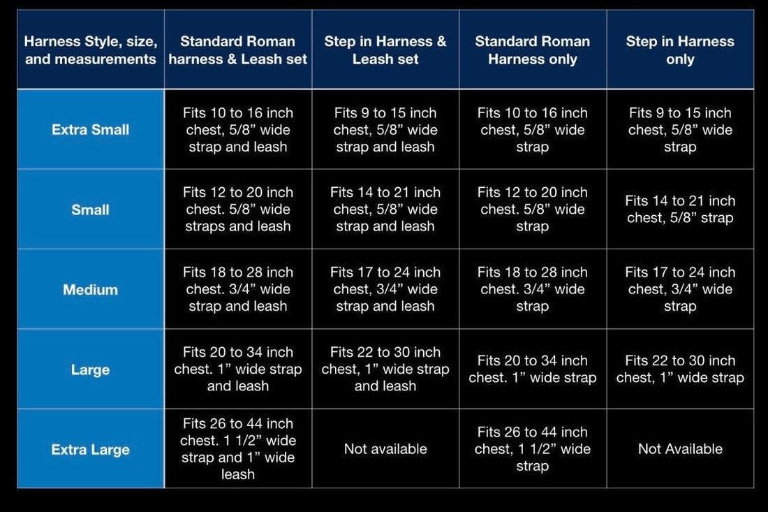 STEP IN FLORAL BUNDLE - ICE BLUE (6 pieces) - Image 3