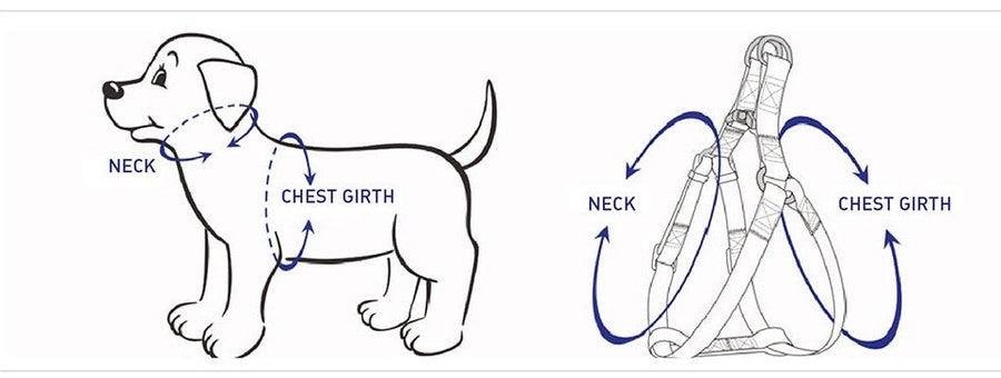 STEP IN FLORAL BUNDLE - BLACK (4 pieces) - Image 2