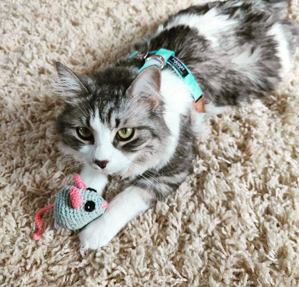 STEP IN BUNDLE - SKY (2 PIECES) - Image 2