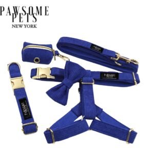 STEP IN BUNDLE - BLUE (5 PIECES)