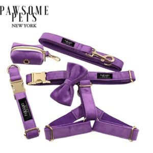 STEP IN BUNDLE - DARK PURPLE (5 PIECES)