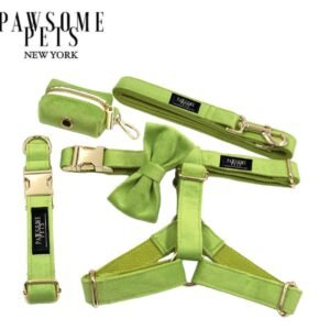 STEP IN BUNDLE - GREEN (5 PIECES)