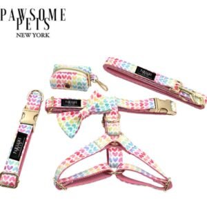 STEP IN BUNDLE - RAINBOW (5 PIECES)