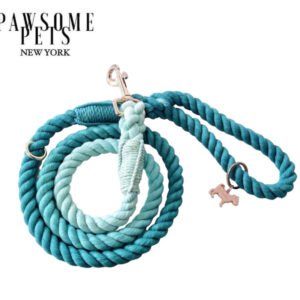 ROPE LEASH - OMBRE OCEAN