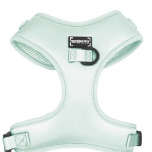 ADJUSTABLE SILK HARNESS - MINT GREEN
