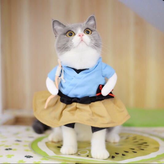 Cute Pet costumes - Image 3