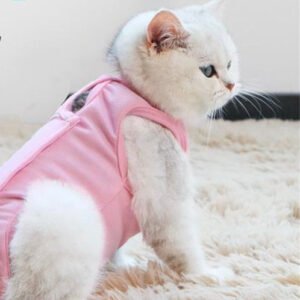 After spay surgery clothes for pet