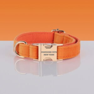 PAWSOME DOG COLLAR - #5