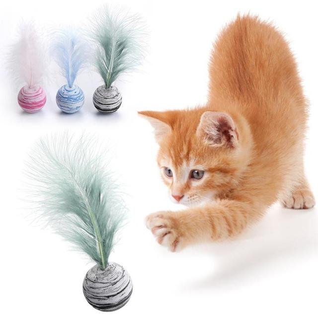 Pet Ball with feather - Image 4