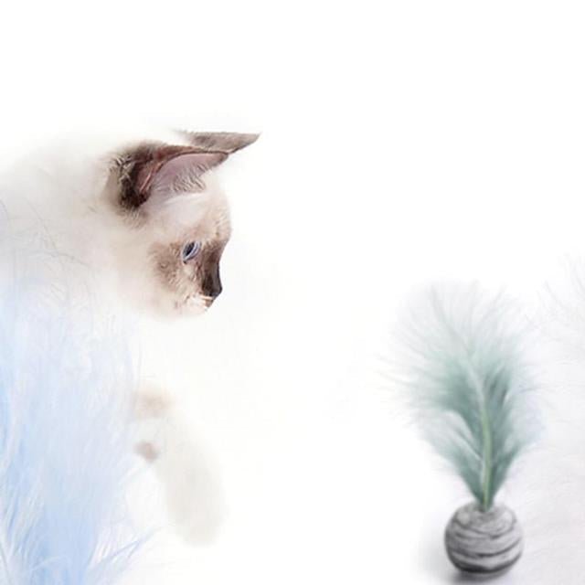 Pet Ball with feather - Image 2
