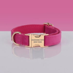 PAWSOME DOG COLLAR - #26