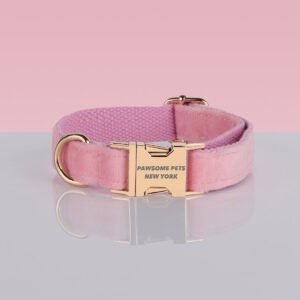 PAWSOME DOG COLLAR - #3