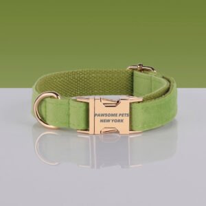 PAWSOME DOG COLLAR - #7