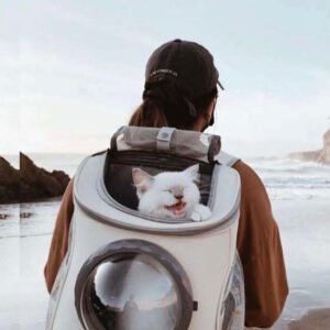 Cats and Dogs Backpack