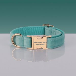 PAWSOME DOG COLLAR - #21