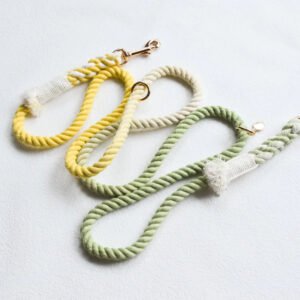 HANDS FREE DOG ROPE LEASH - LIME LEMONADE