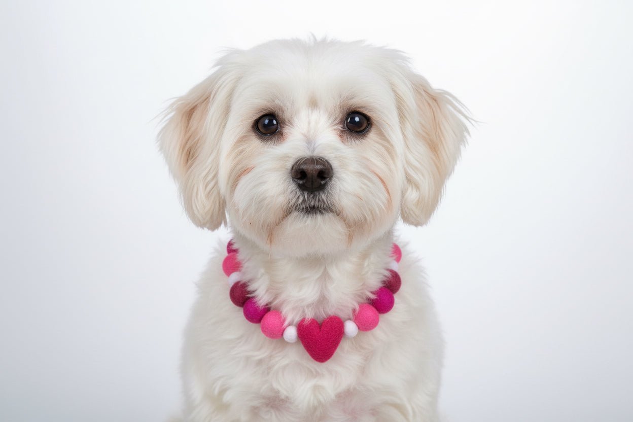 Pink Valentine Heart Pom Pom Dog Collar - Image 5
