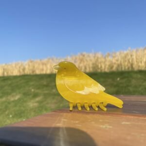 PAWSOME PETS NEW YORK Hand-painted BIRDS Claw Hair Clip #1 | Eco-Friendly