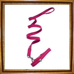 Prediletto Valentine Heart Dog Collar & Lead